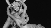 file/Image/newsletter_foto/20080310173152.gif