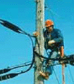 file/Image/newsletter_foto/20080311130949.gif