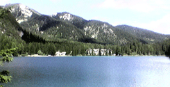 file/Image/newsletter_foto/20080319160534.gif