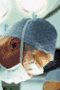 file/Image/newsletter_foto/20080319161522.gif