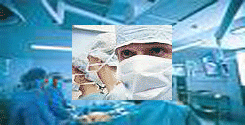 file/Image/newsletter_foto/20080321175242.gif