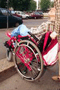 file/Image/newsletter_foto/20080321180911.gif