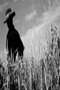 file/Image/newsletter_foto/20080523115920.gif