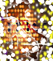 file/Image/newsletter_foto/20080528151204.gif