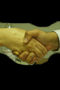 file/Image/newsletter_foto/20080721174755.gif