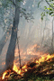 file/Image/newsletter_foto/20080728172857.gif