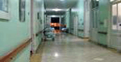 file/Image/newsletter_foto/20081014164948.gif