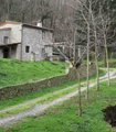 file/Image/newsletter_foto/20081110120536.gif
