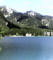 file/Image/newsletter_foto/20081110162943.gif