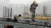 file/Image/newsletter_foto/20090302140216.gif