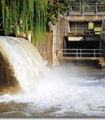 file/Image/newsletter_foto/20090504133030.gif