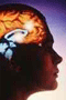 file/Image/newsletter_foto/20090505124938.gif