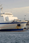 file/Image/newsletter_foto/20090513185852.gif