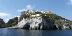 file/Image/newsletter_foto/20090708105230.gif