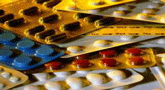file/Image/newsletter_foto/20091202190751.gif
