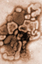file/Image/newsletter_foto/20091204182726.gif