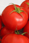 file/Image/newsletter_foto/20100121101100.gif