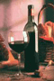 file/Image/newsletter_foto/20100121110656.gif