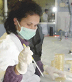 file/Image/newsletter_foto/20100121112945.gif