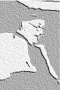 file/Image/newsletter_foto/20100121113356.gif
