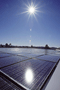 file/Image/newsletter_foto/20100719154749.gif