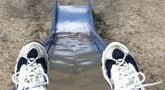 file/Image/newsletter_foto/20101013132600.gif