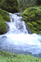 file/Image/newsletter_foto/20101015173109.gif