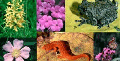 file/Image/newsletter_foto/20101203181807.gif