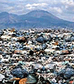 file/Image/newsletter_foto/20101206165547.gif