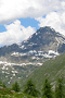 file/Image/newsletter_foto/20101206190928.gif