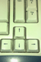 file/Image/newsletter_foto/20101209113651.gif