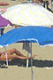 file/Image/newsletter_foto/20101214115554.gif