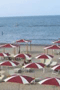 file/Image/newsletter_foto/20101214154444.gif