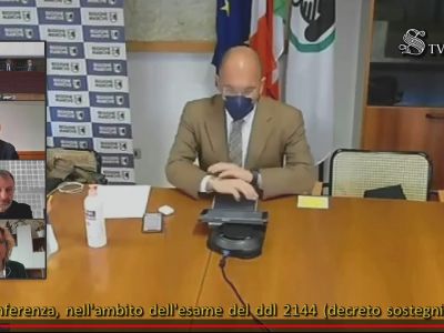 Dl Sostegni: Audizione al Senato - 07.04.2021