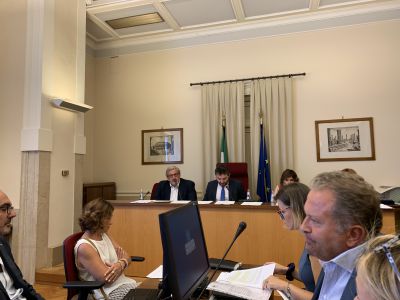 Agricoltura: Audizione (Regioni) su riforma Agea