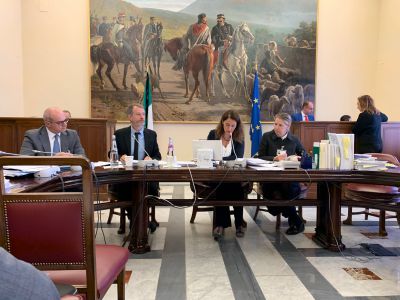 Audizione su federalismo fiscale 7/11/2019