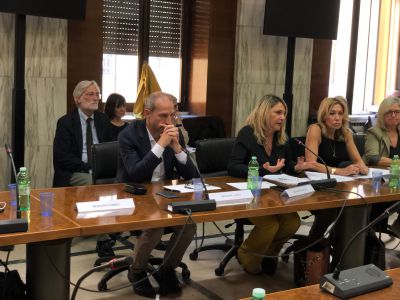 Reddito di cittadinanza: confronto Regioni - Catalfo