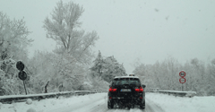 file/ELEMENTO_NEWSLETTER/9397/Neve_strada_feb2012.gif