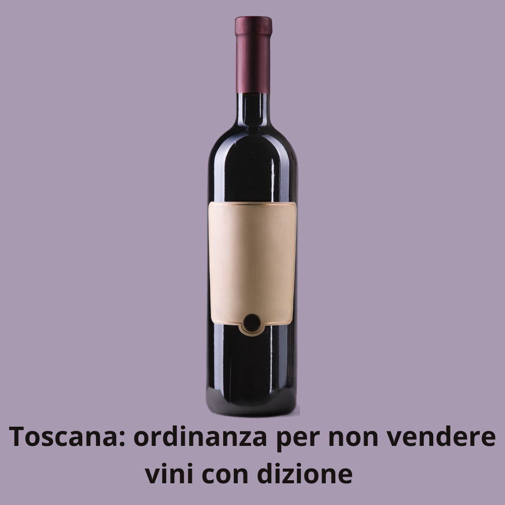 file/ELEMENTO_NEWSLETTER/25395/audizione-(12).png
