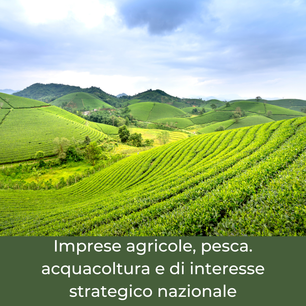 file/ELEMENTO_NEWSLETTER/26177/newsletter_imm_-(10).png